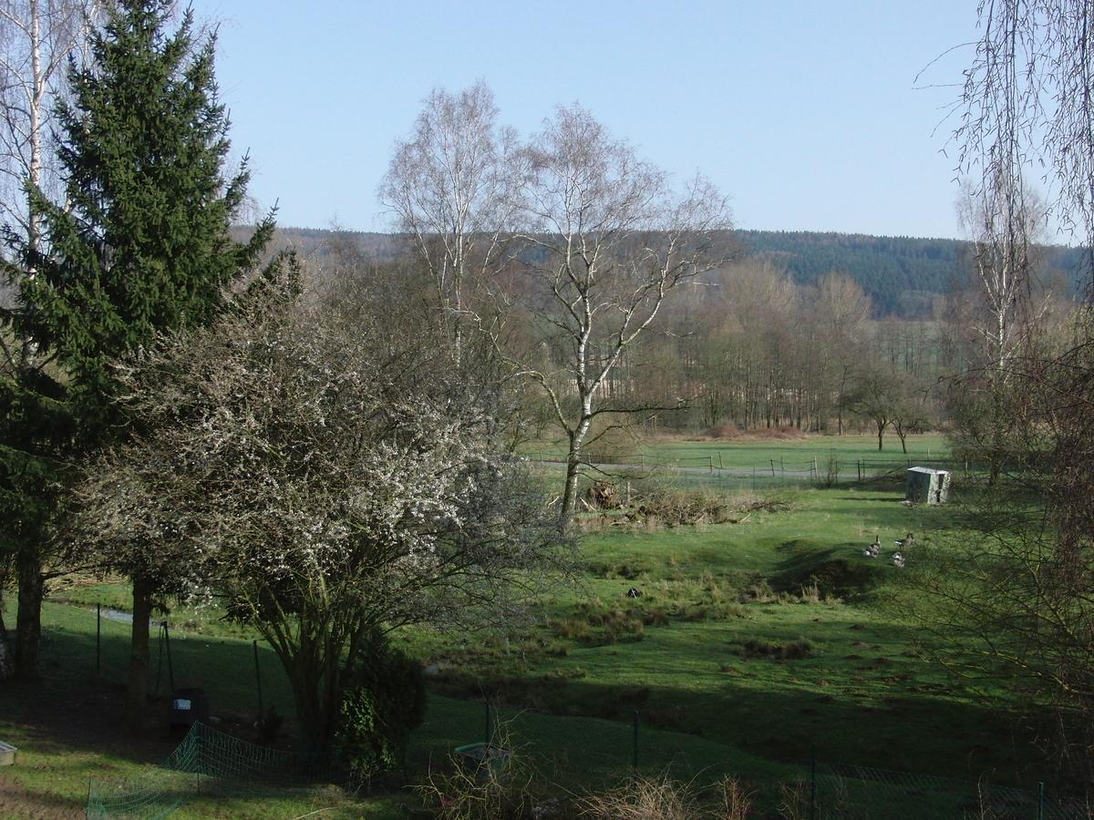 Guesthouse Herriot Springe Extérieur photo